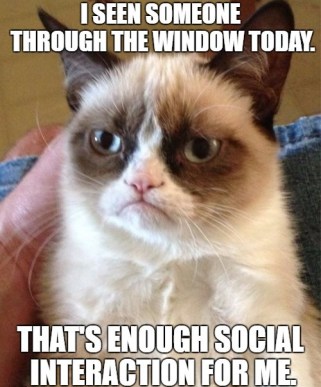 Grumpy Cat Interaction
